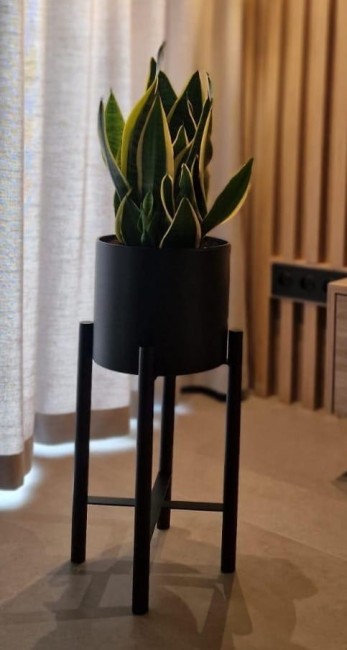 minimalistyczny stojak na rośliny czarny